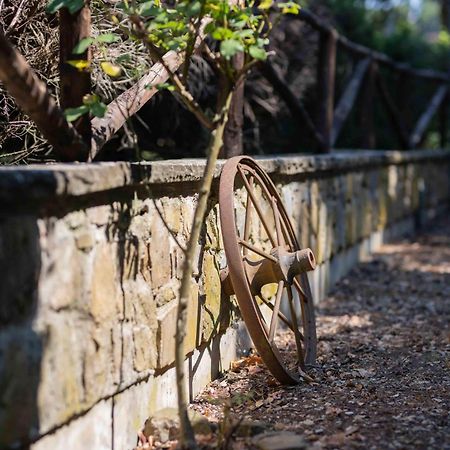 Terre Di Melazzano - Le Case Di Patrizia Greve in Chianti Luaran gambar