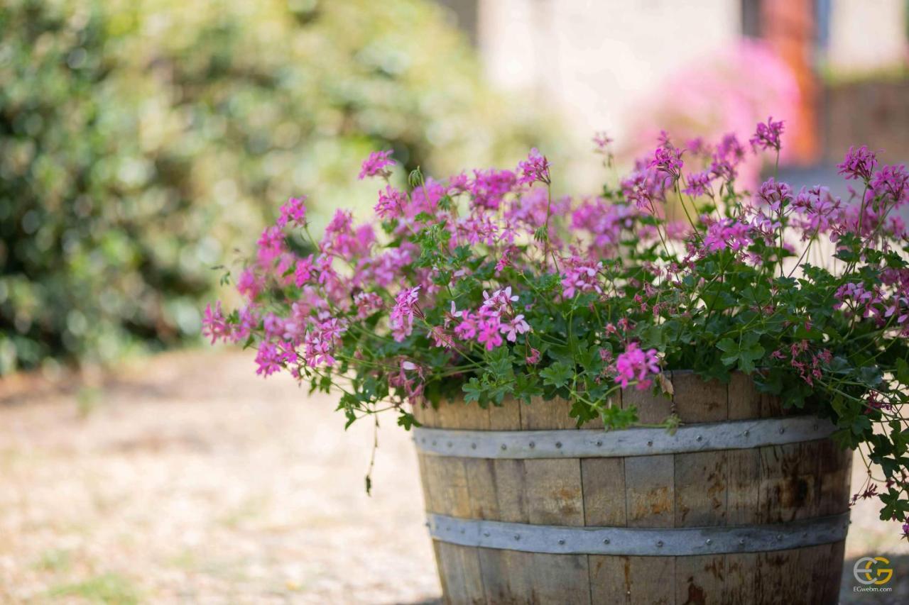 Terre Di Melazzano - Le Case Di Patrizia Greve in Chianti Luaran gambar