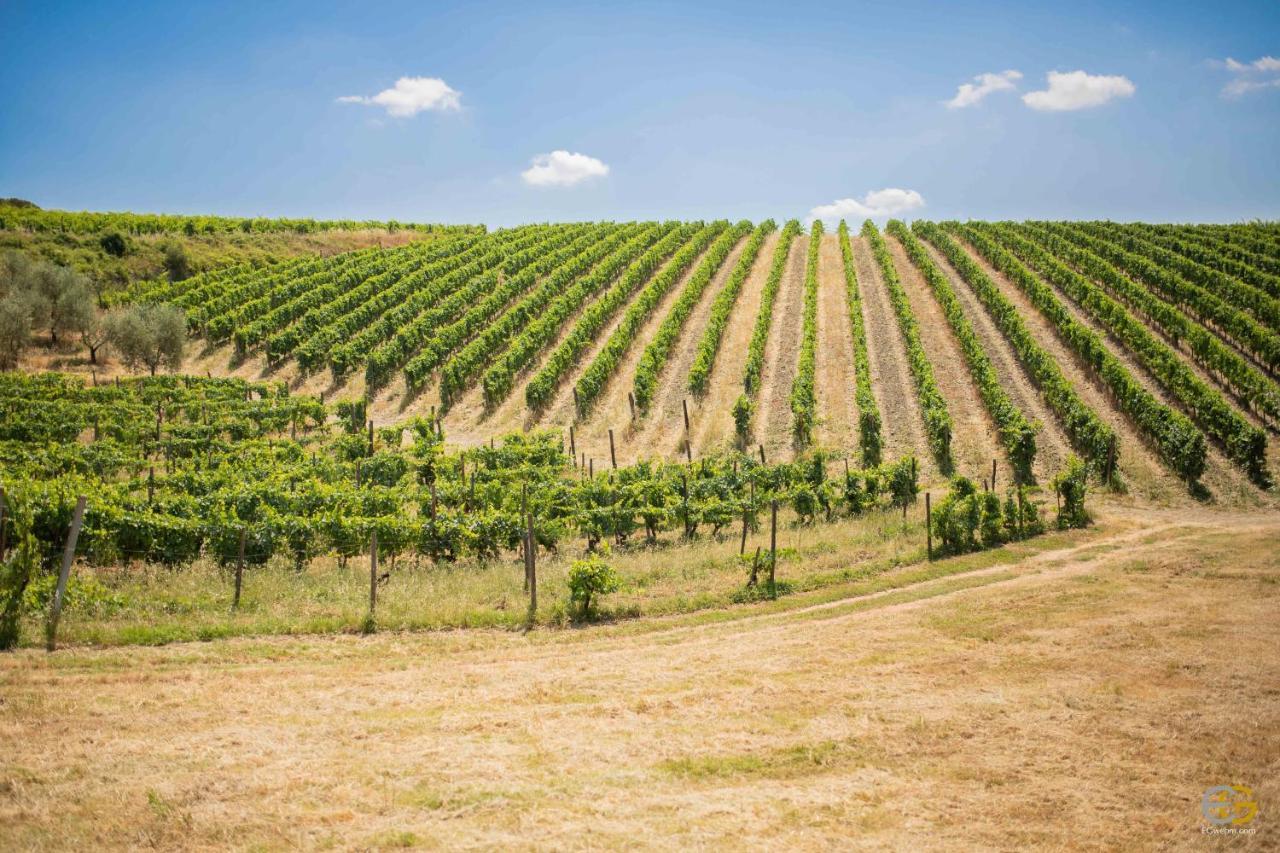 Terre Di Melazzano - Le Case Di Patrizia Greve in Chianti Luaran gambar