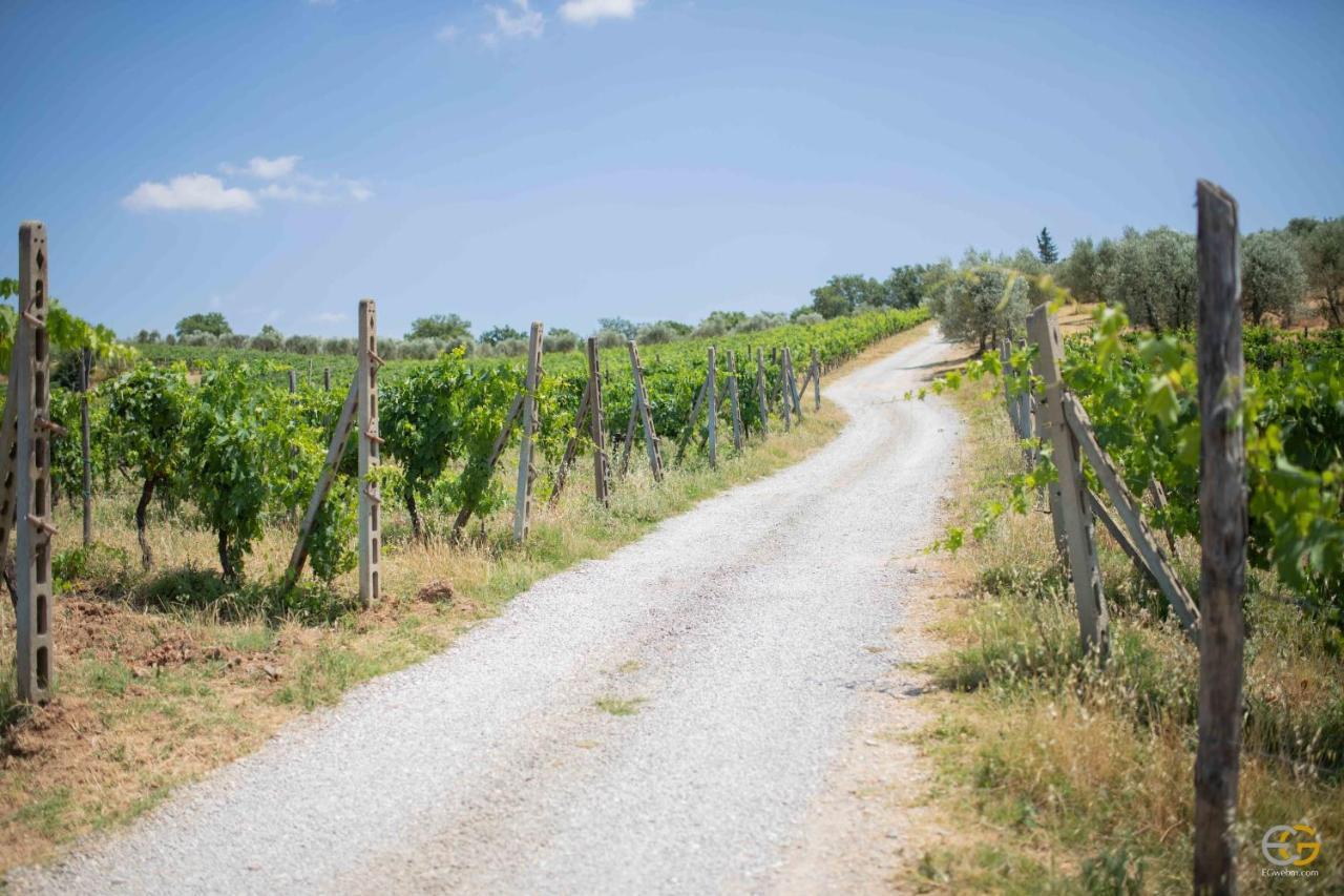 Terre Di Melazzano - Le Case Di Patrizia Greve in Chianti Luaran gambar