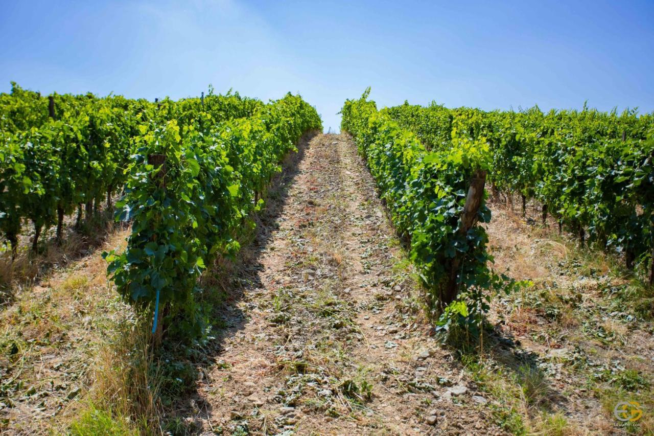 Terre Di Melazzano - Le Case Di Patrizia Greve in Chianti Luaran gambar