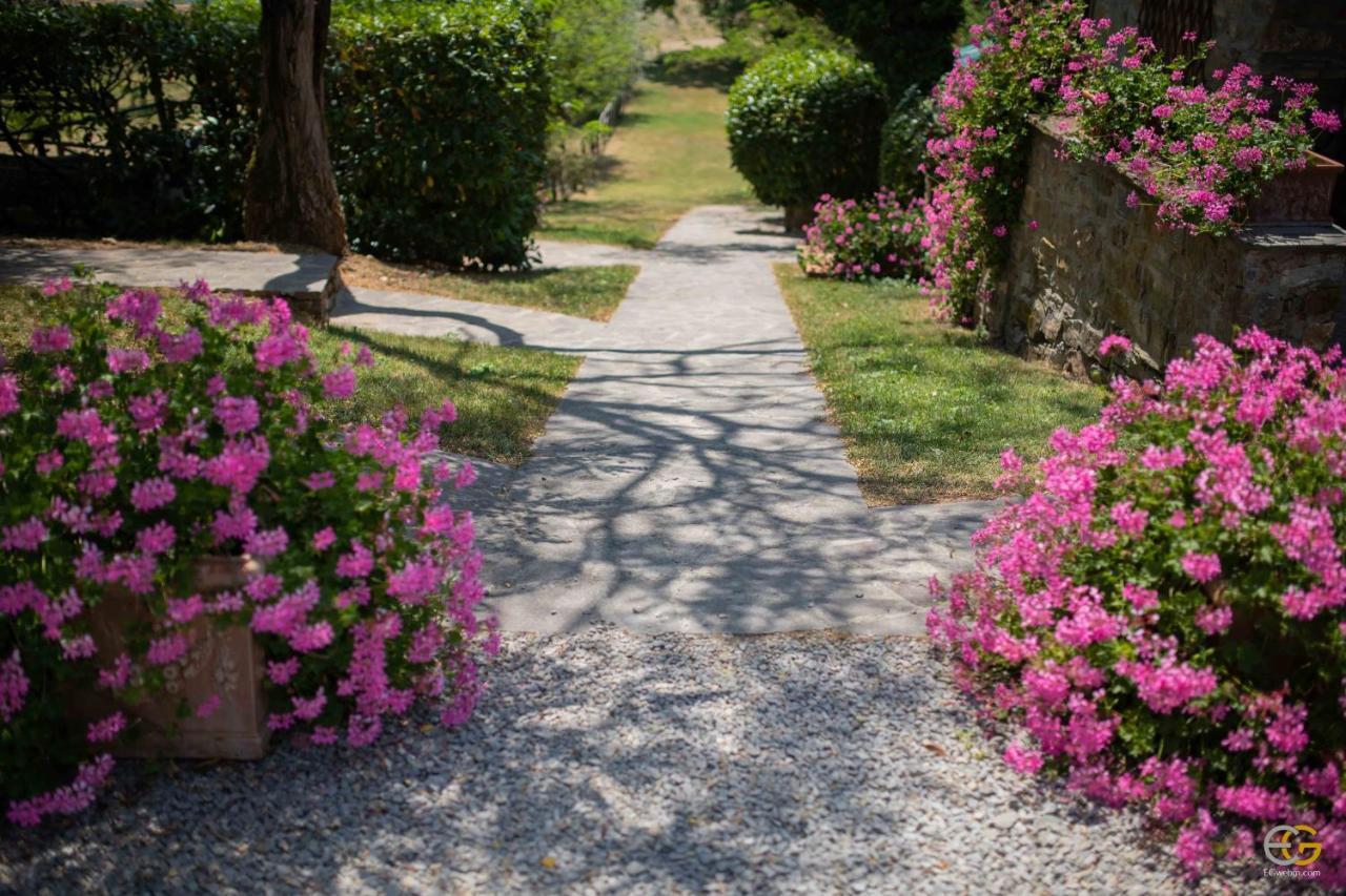 Terre Di Melazzano - Le Case Di Patrizia Greve in Chianti Luaran gambar