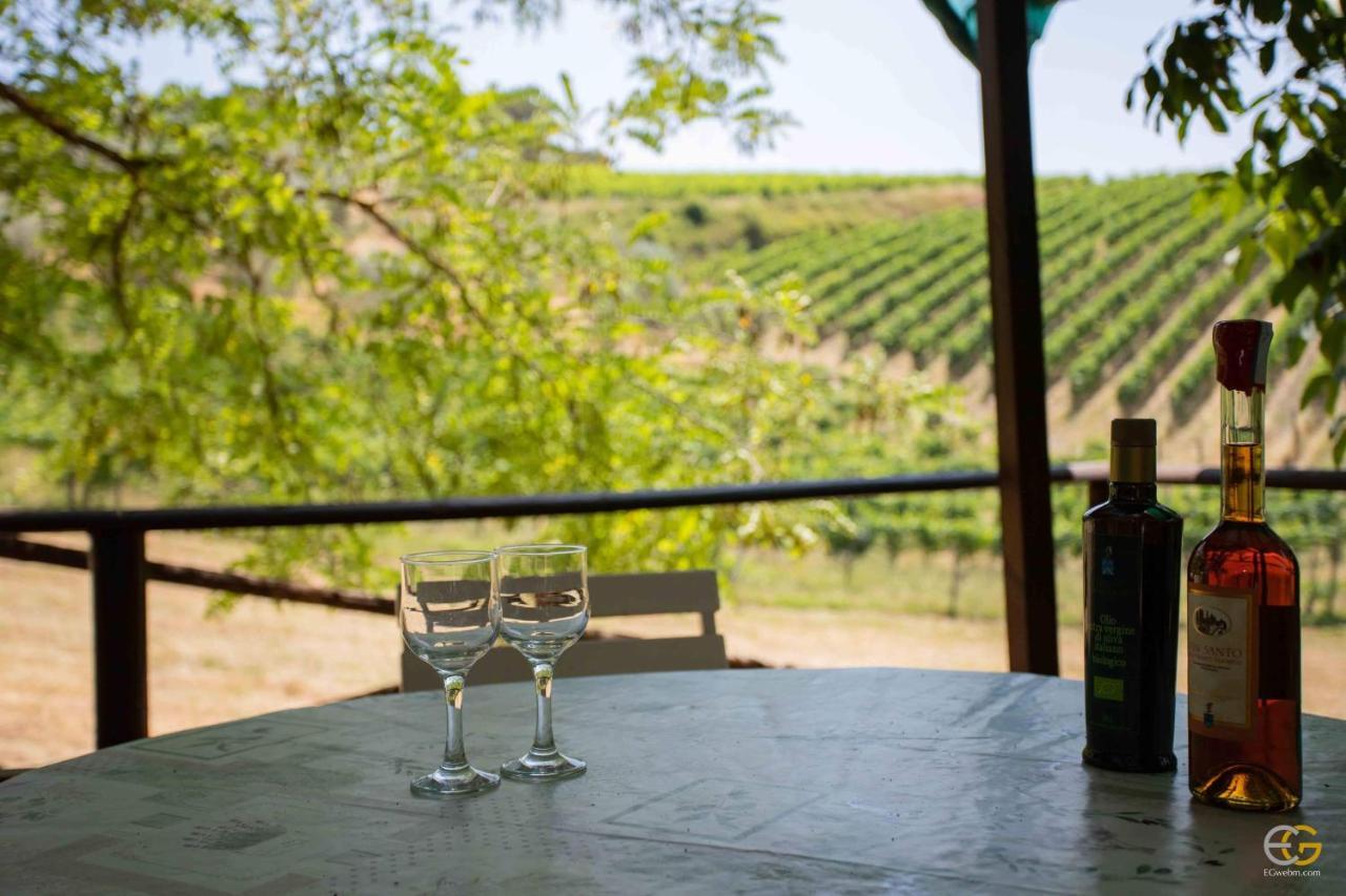 Terre Di Melazzano - Le Case Di Patrizia Greve in Chianti Luaran gambar